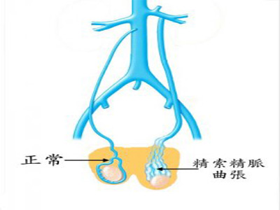 o}İYF(xin)